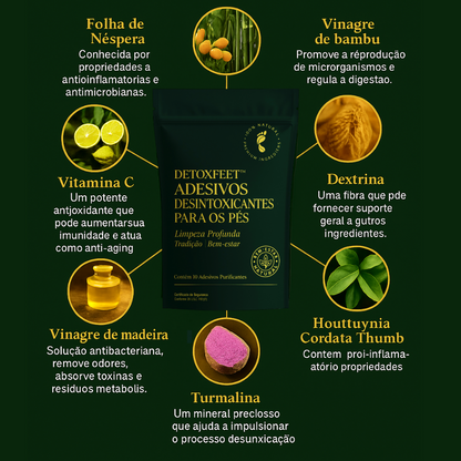 DETOXFEET™ – DESINTOXICA, DESCANSA E RENOVA DURANTE A NOITE